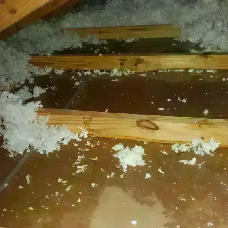 Attic Water Damage in Rankin County, MS