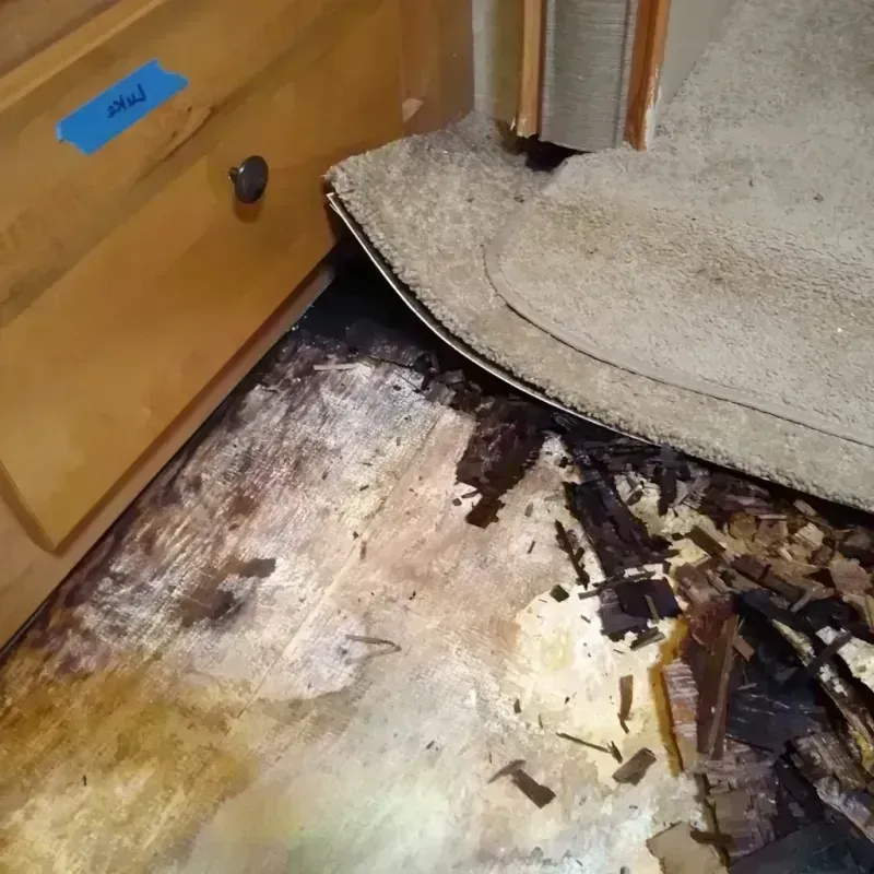 Wood Floor Water Damage in Rankin County, MS